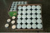 Tea Lights- Palm wax box 100